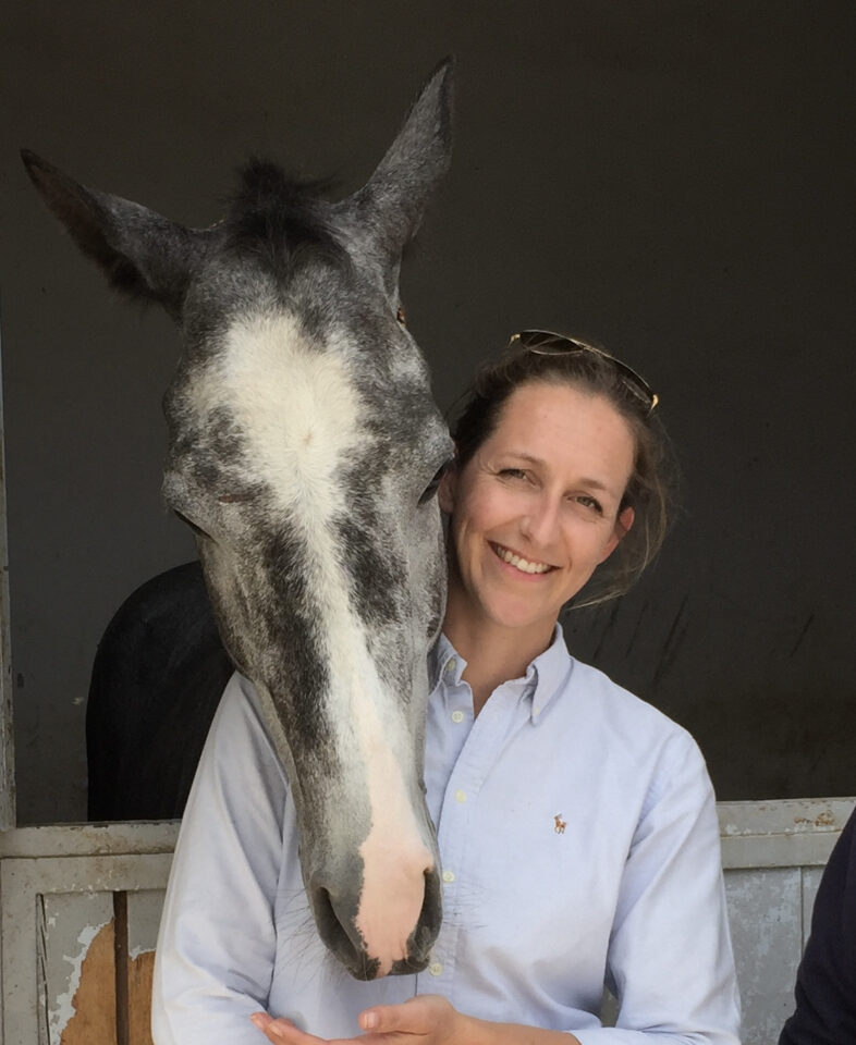 PETPEARL MSM Einzelfuttermittel für Pferde für viele Anwendungen