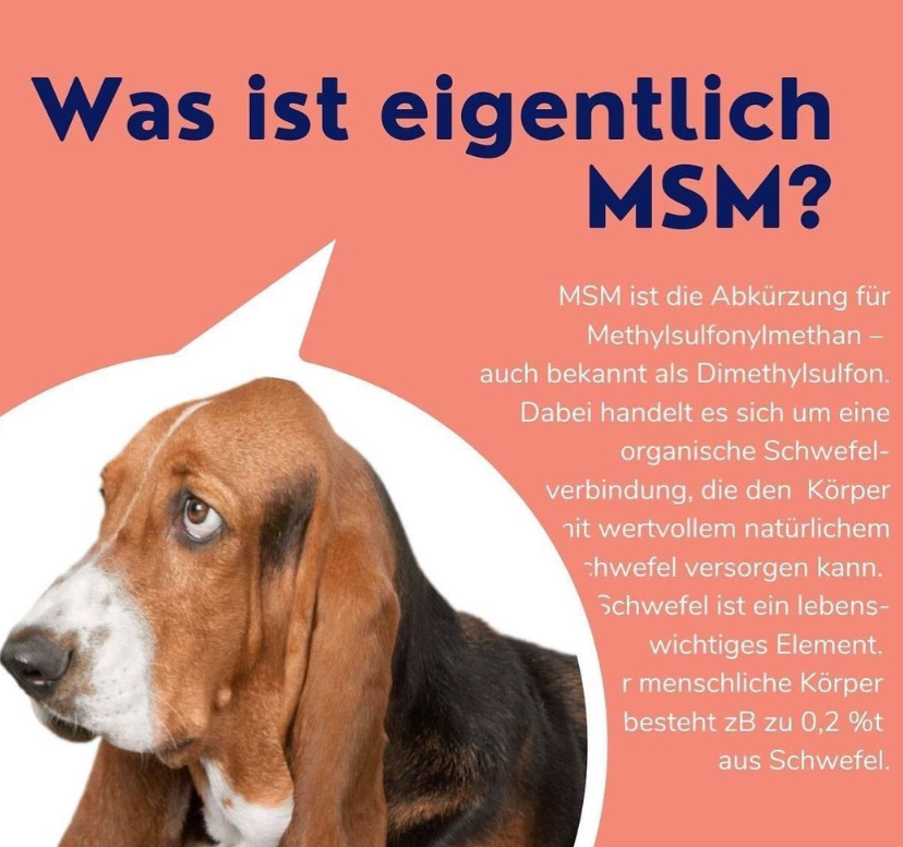 PETPEARL MSM für Hund und Katze