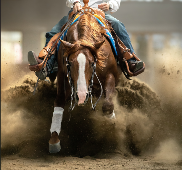 PETPEARL ARTHRO+ 1000g