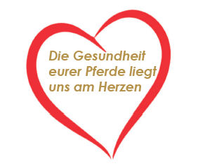 PETPEARL BASIC 1000 g MSM + Glucosamin