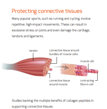 Kollagen 100 - PETPEARL Vitalstoffe für Tiere