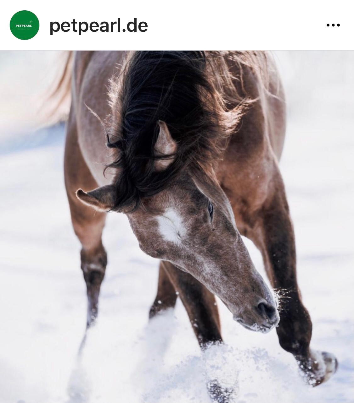 PETPEARL ARTHRO+ 1000g